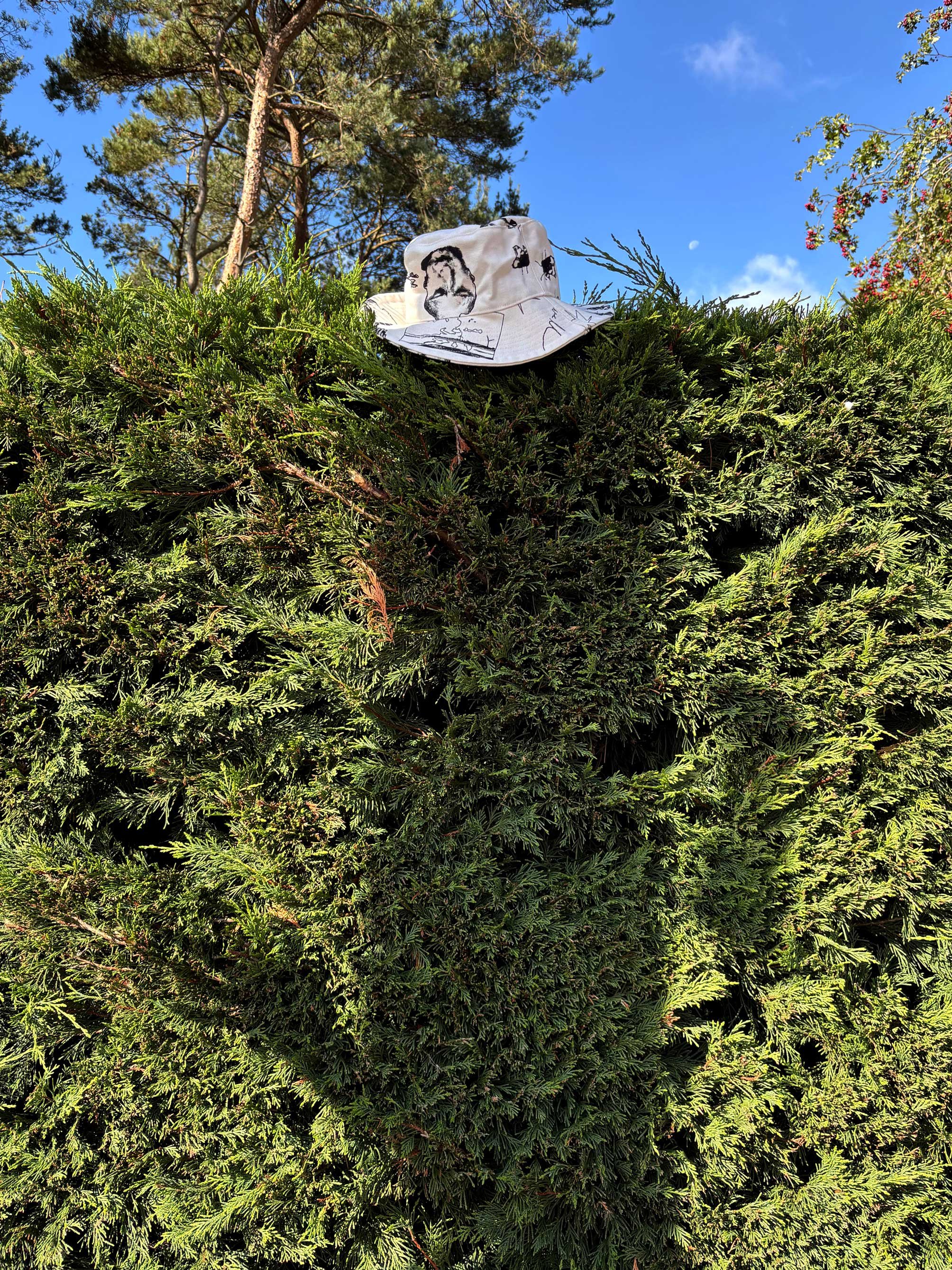 Screen printed hat by artist, Isobel Hill sat on top of a conifer large bush.