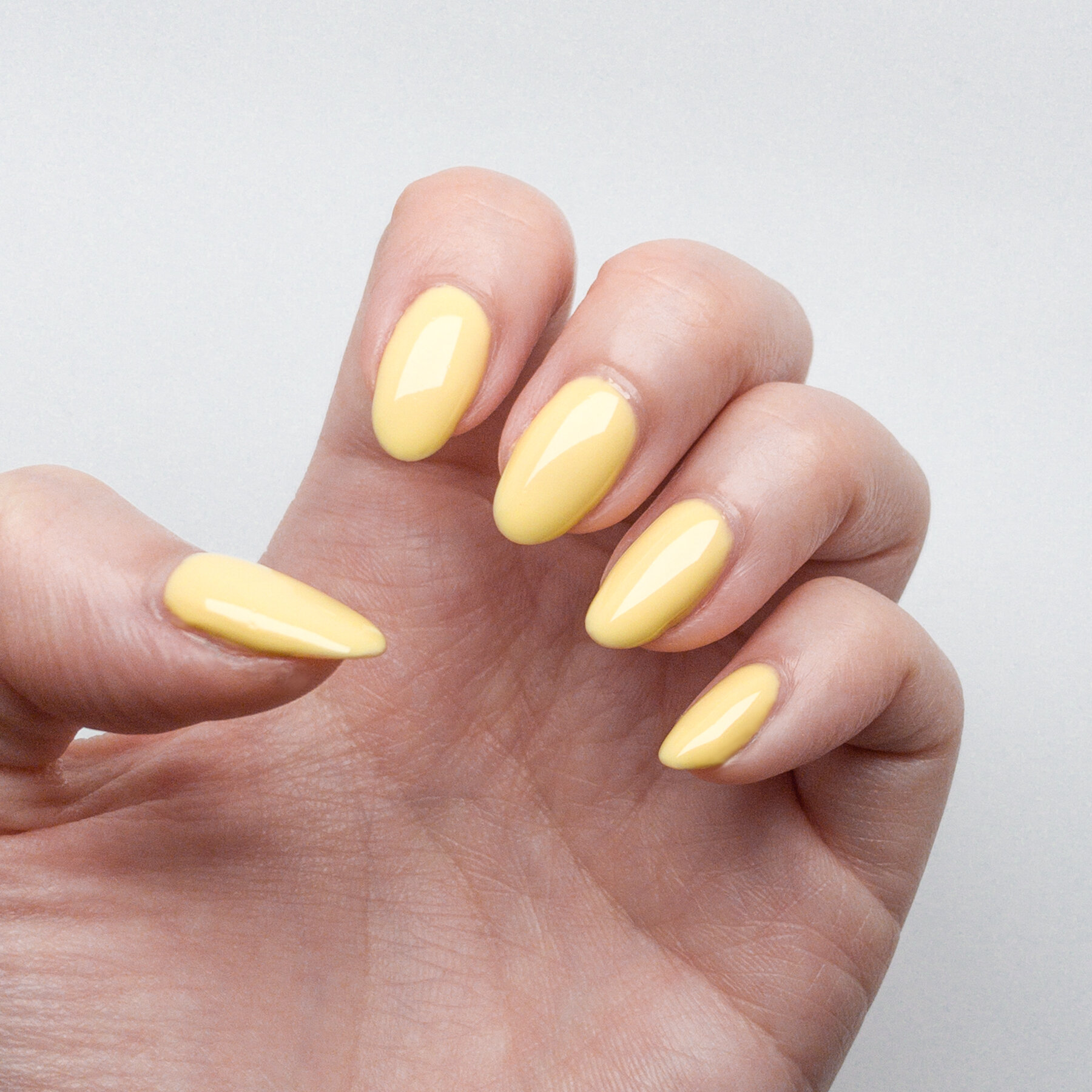 Pastel Canary