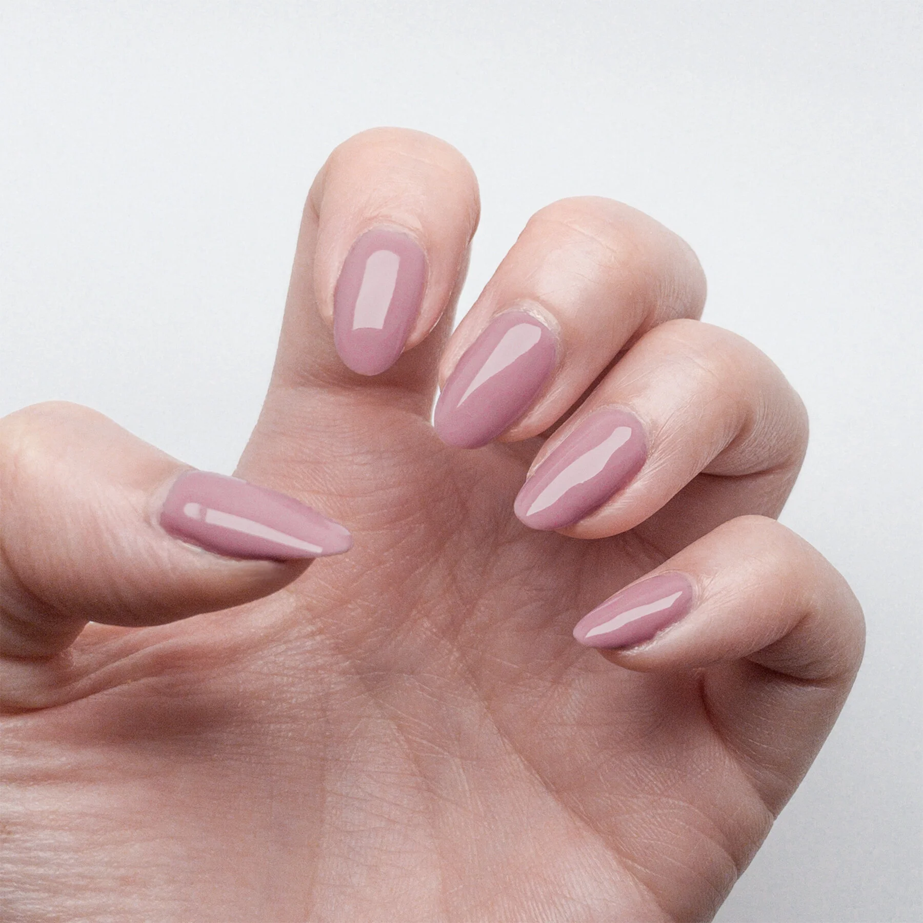 Queen Pink