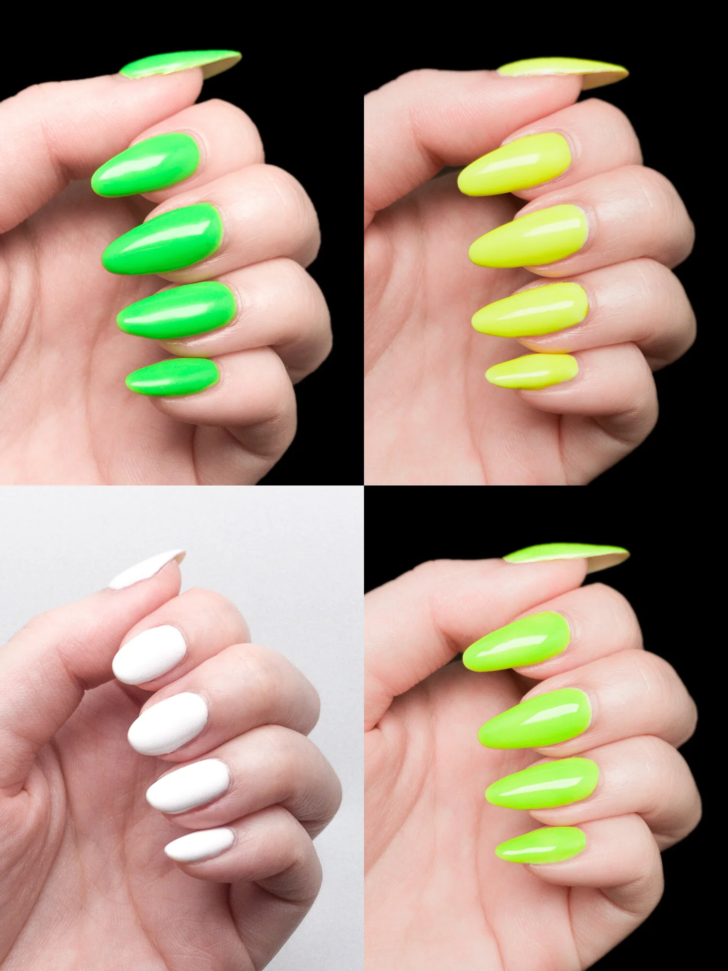 Neon Collection Pro Bundle