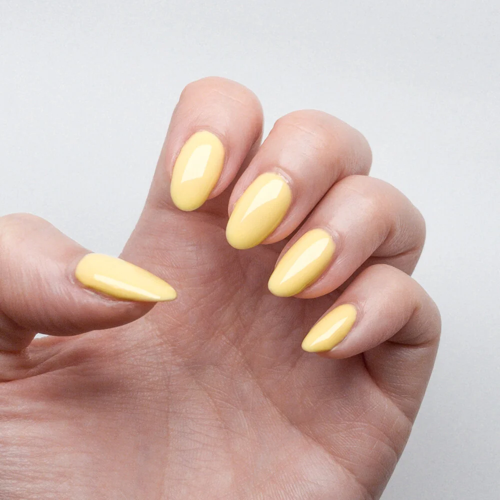 Pastel Canary