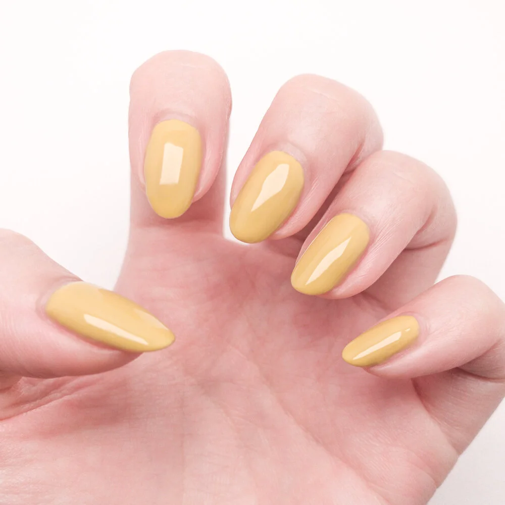 Spicy Mustard