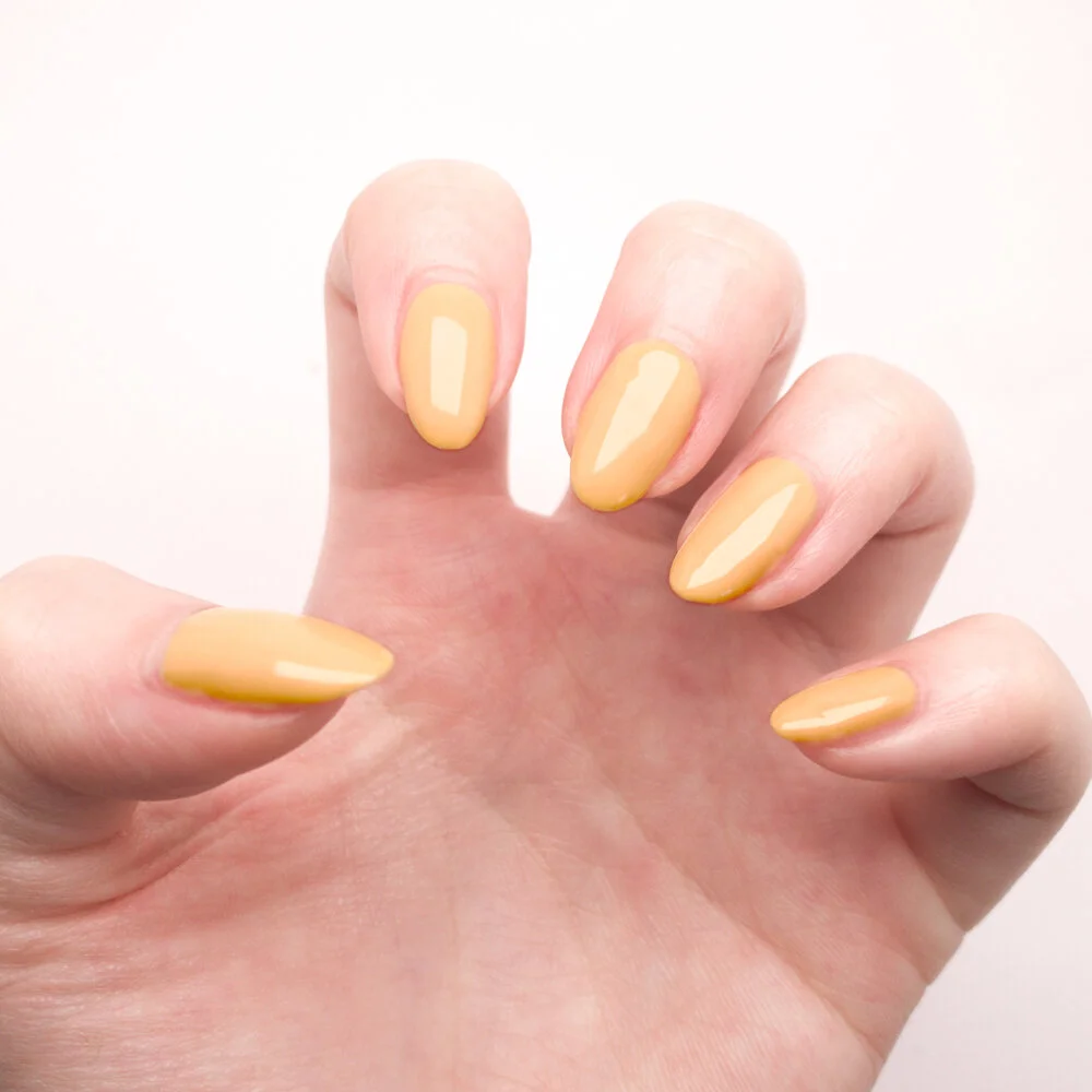 Sunny Side Up