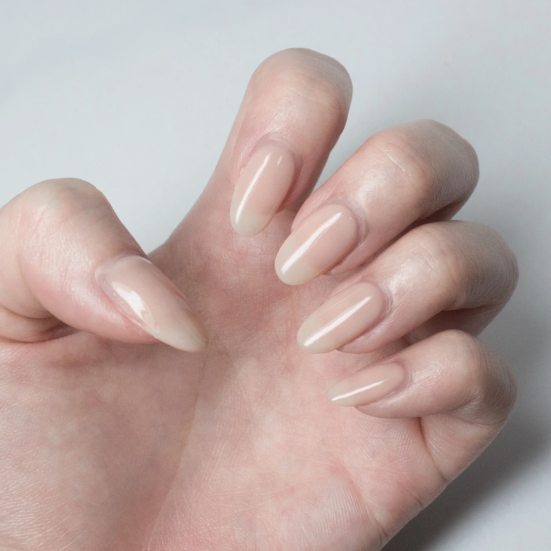 French Vanilla