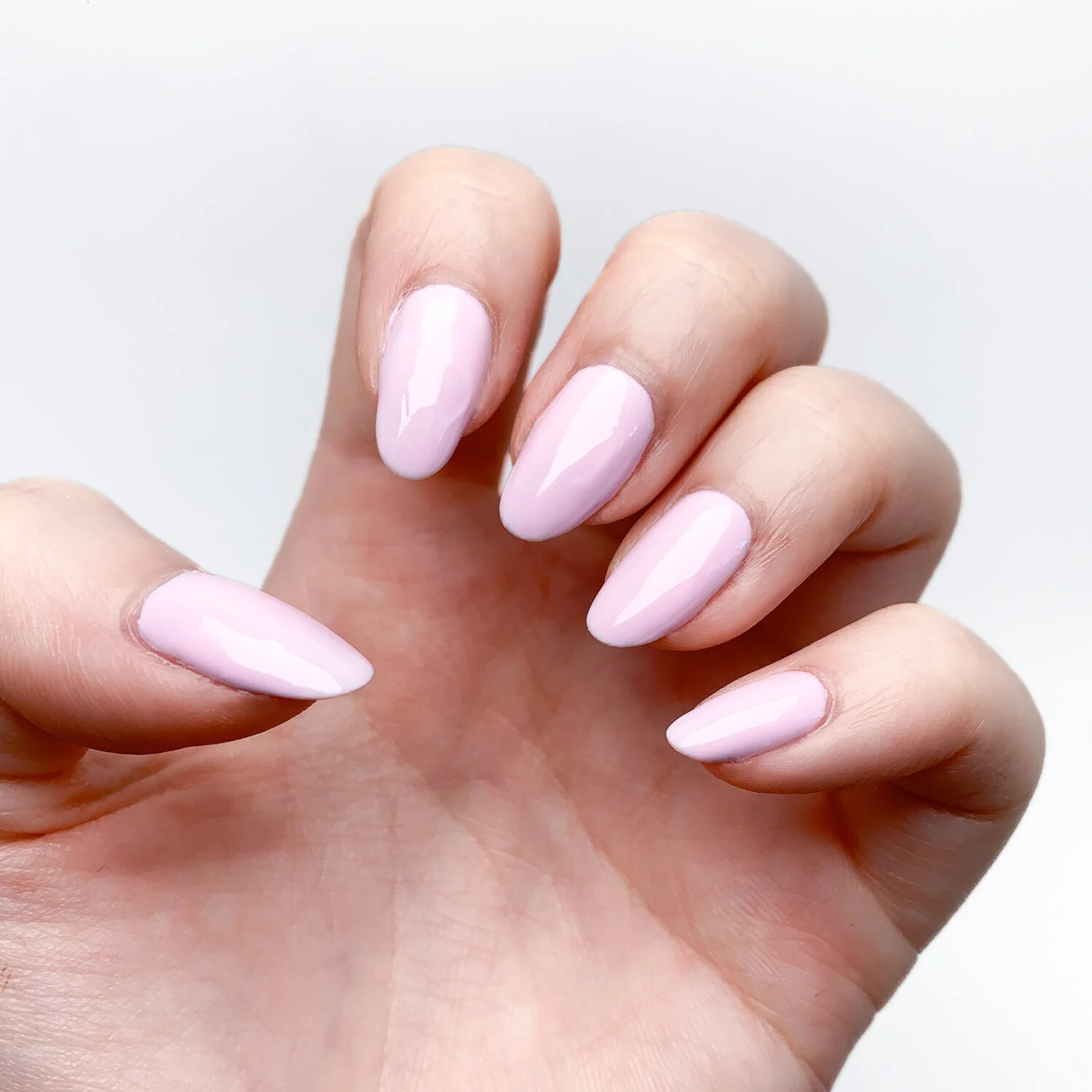 She's Not Rat Into You