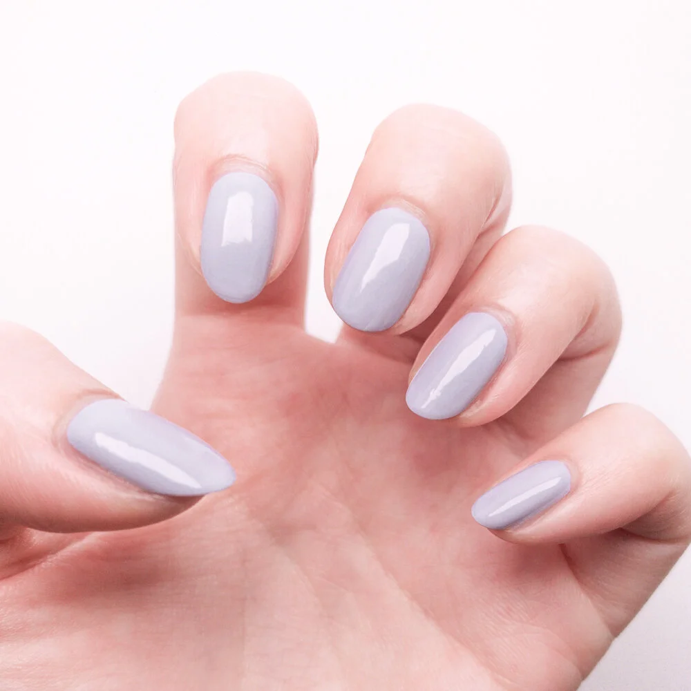 Camellia Blue