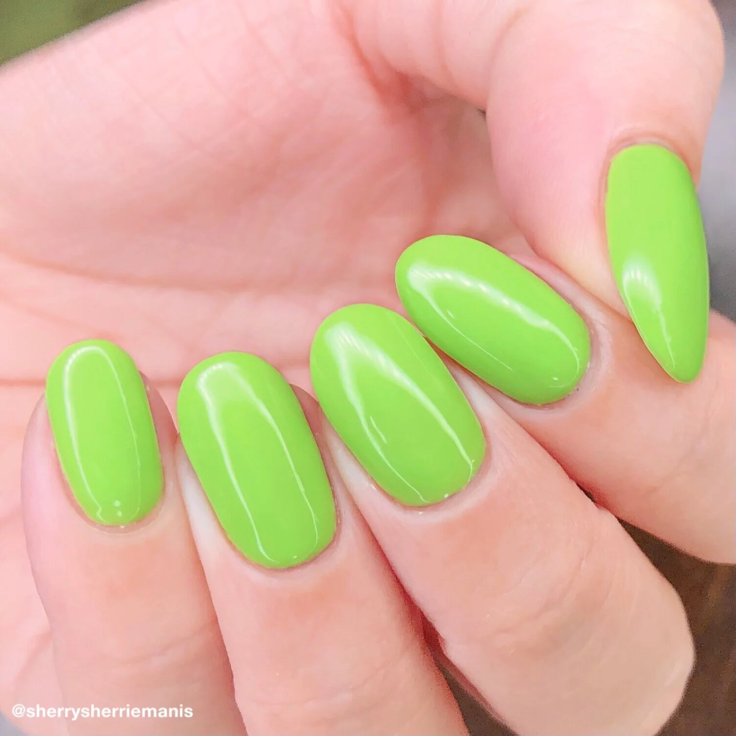 47EA2B79-C42C-4FB8-BA4D-61D3C392D4D1