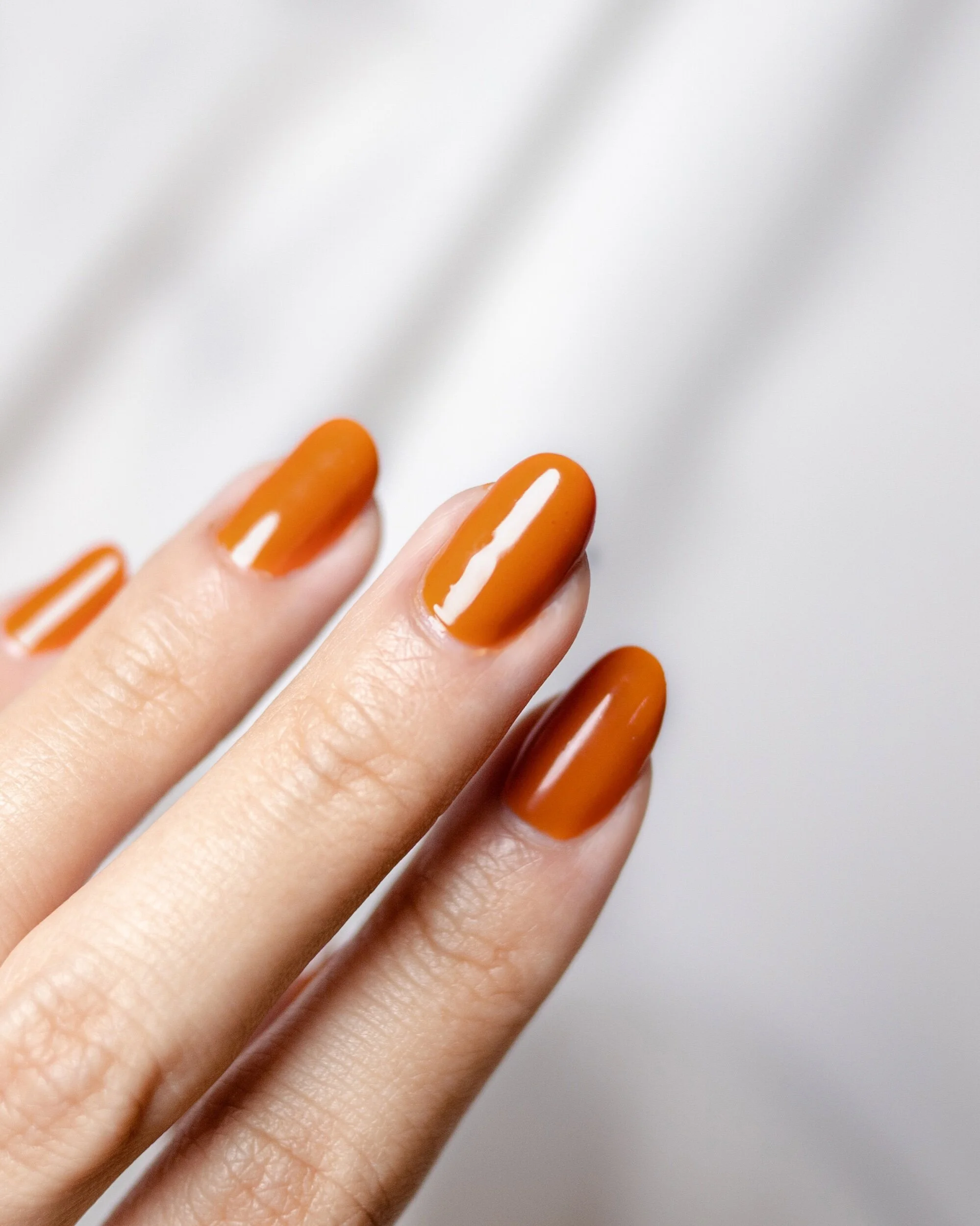 788DD0E3-457F-489D-B79C-32B5624D9C07