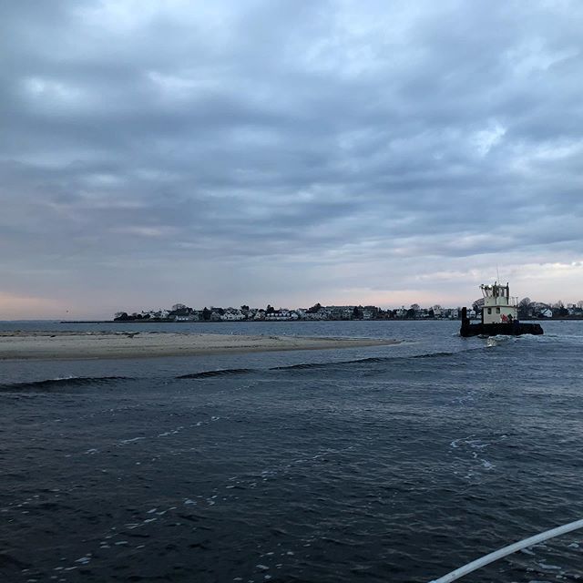 diesel engines, icy birds, and fat oysters- harvest day!