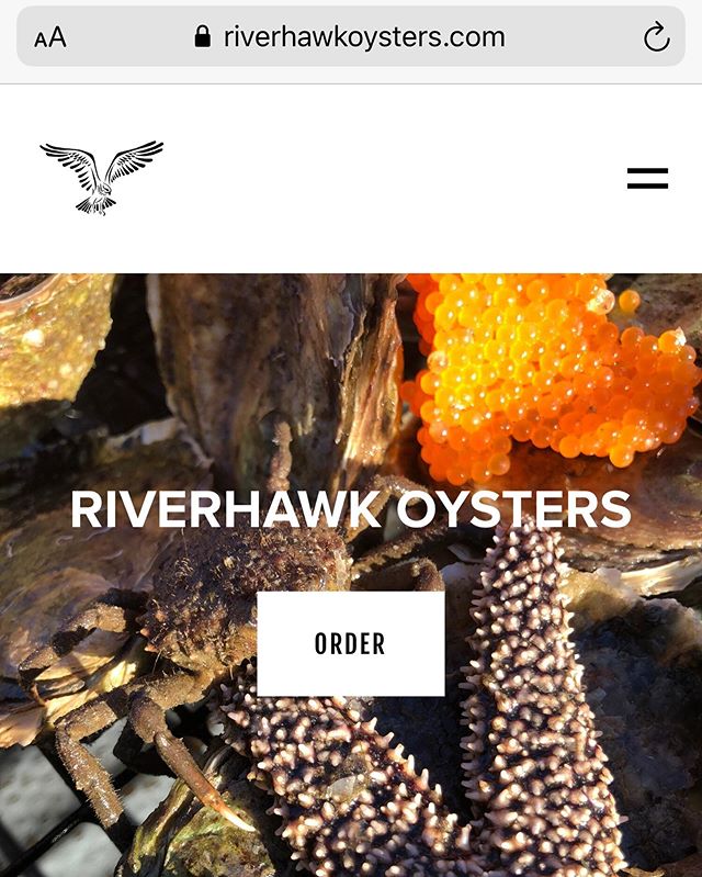 Oh would you look at that!! www.riverhawkoysters.com