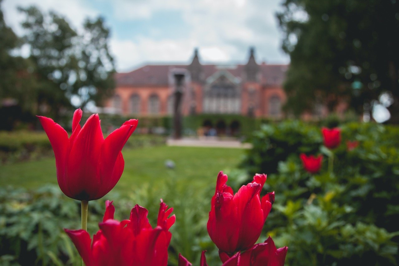   Danish Royal Library Garden, Copenhagen, Denmark (ISO 100, 32 mm,  f /4, 1/250 s)  