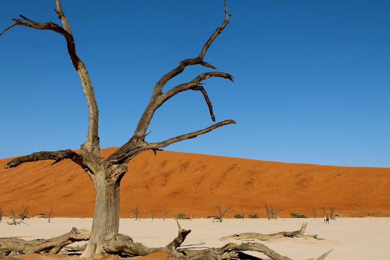   Sossusvlei, Namib-Naukluft National Park, Namibia (ISO 100, 24 mm, f/7.1, 1/640 s)  