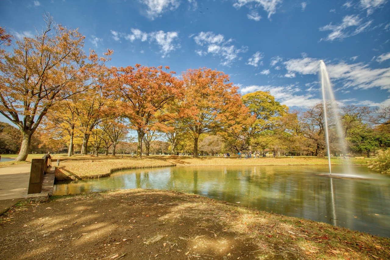   Yoyogi Park, Tokyo, Japan (ISO 100, 16 mm, f/22, 1/3 s)  