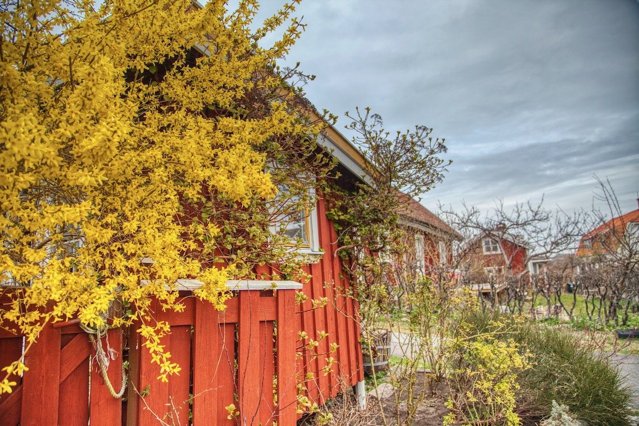   Brännö, Gothenburg, Sweden (ISO 400, 24 mm,  f /4, 1/1000 s)  