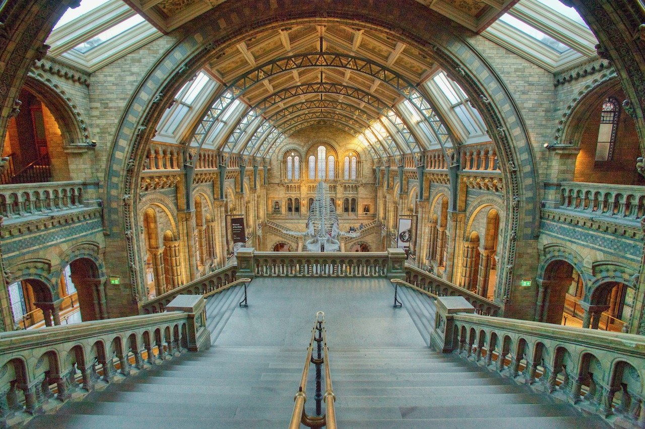   Natural History Museum, London, England (ISO 4000, 16 mm,  f /8, 1/60 s)  