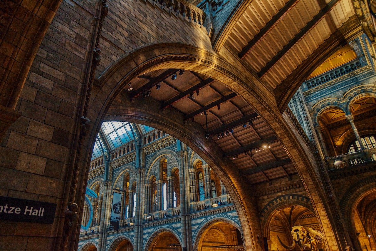   Natural History Museum, London, England (ISO 3200, 26 mm,  f /4, 1/100 s)  
