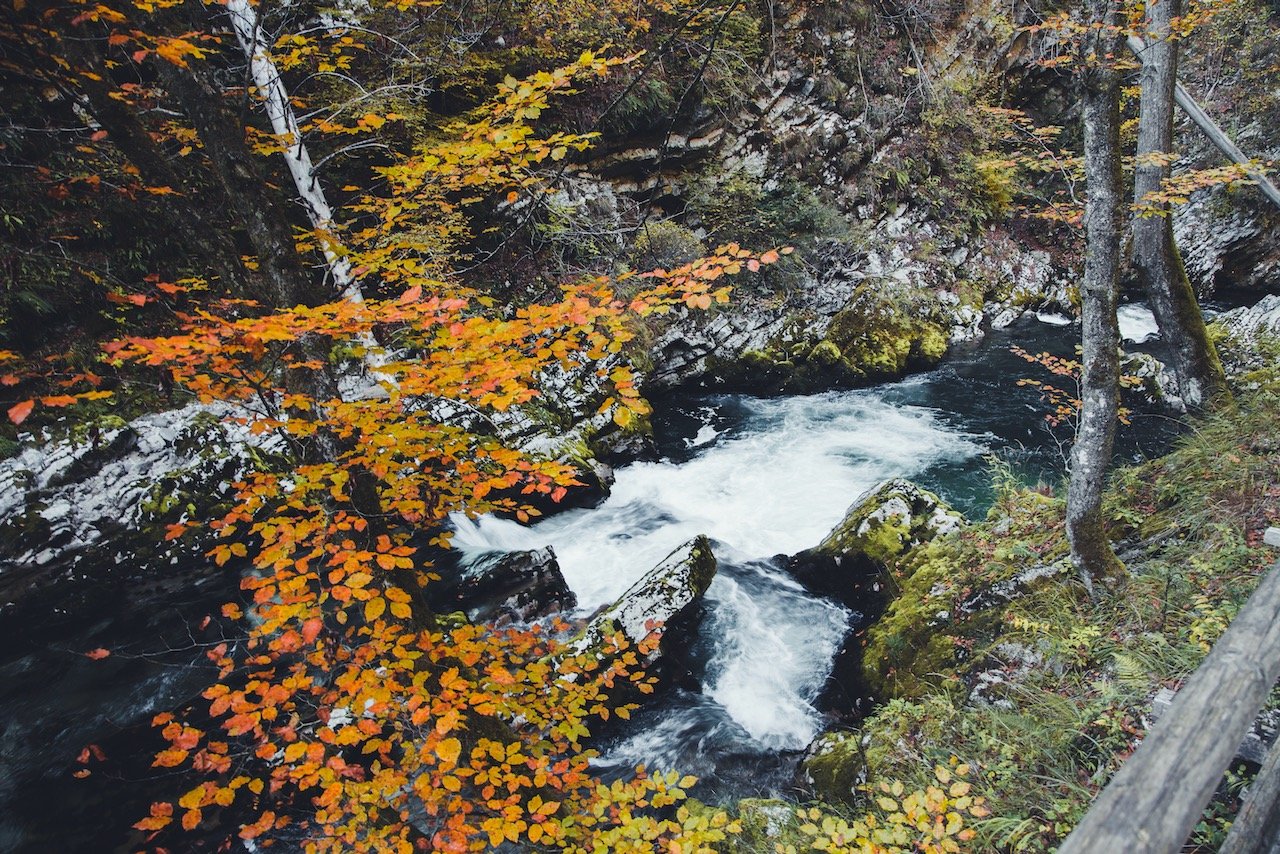   Soteska Vintgar, Triglav National Park, Slovenia (ISO 500, 24 mm,  f /8, 1/15 s)  