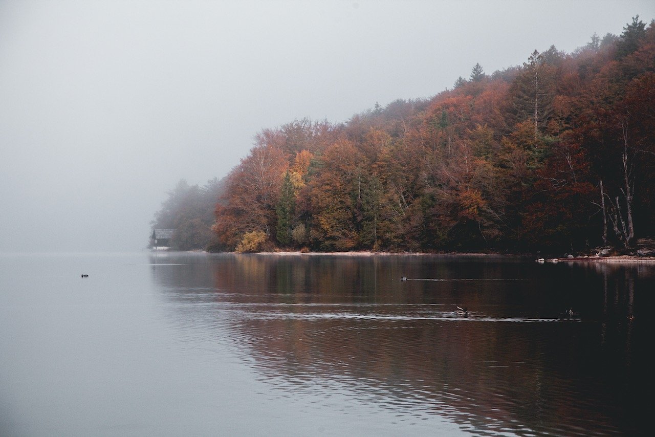   Lake Bohinj, Triglav National Park, Slovenia (ISO 400, 90 mm,  f /6.3, 1/1250 s)  