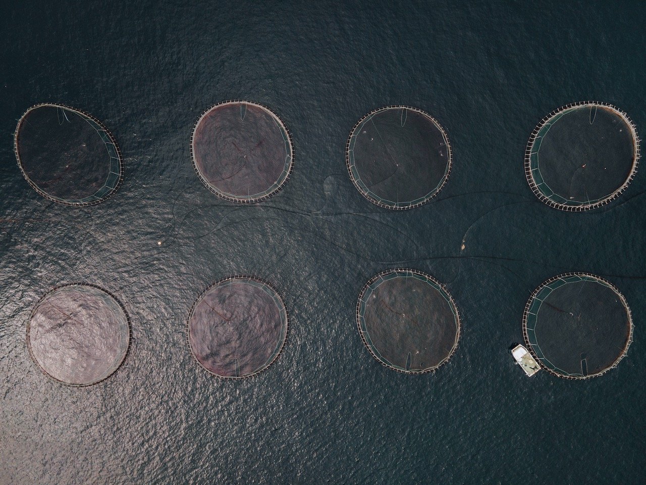   Salmon Cages, Vidoy, Faroe Islands (ISO 200, 4.5 mm,  f /2.8, 1/40 s)  