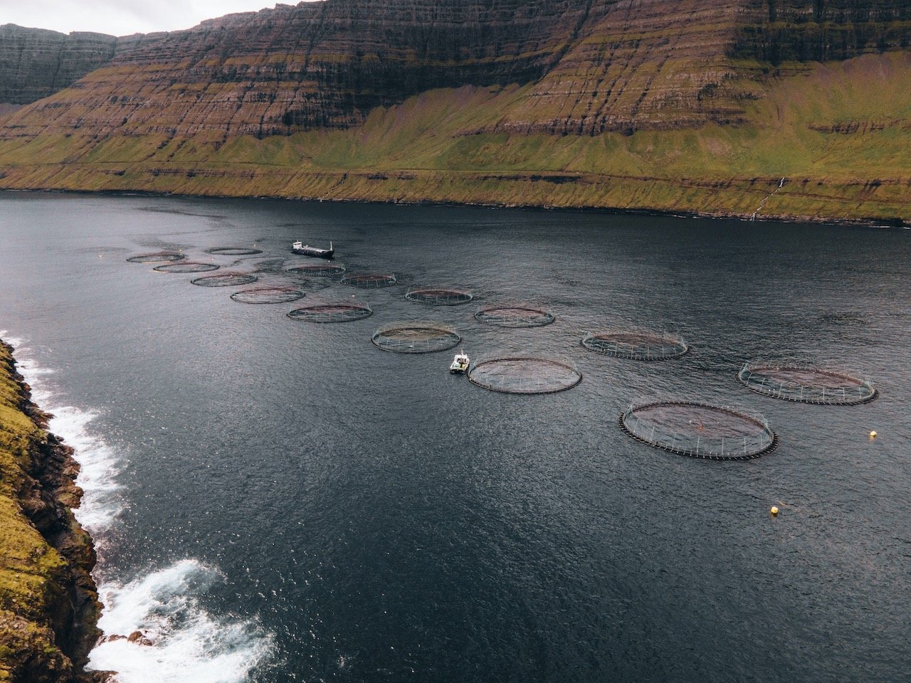   Salmon Cages, Vidoy, Faroe Islands (ISO 200, 4.5 mm,  f /2.8, 1/50 s)  