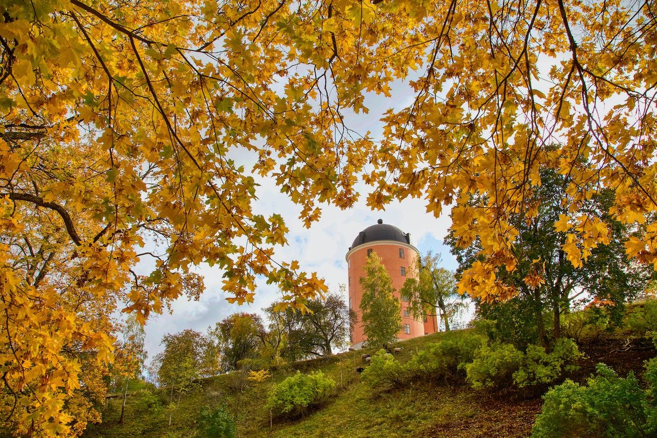 📍 Uppsala, Sweden

A little bit of practice with framing this past fall in Uppsala. Are there any other castles you know of that are pink in color?
.
.
.
.
.
#sweden #scandinavia #ck_the_explorer #ecksplorer #sverige #ig_sweden #swedenimages #schwed