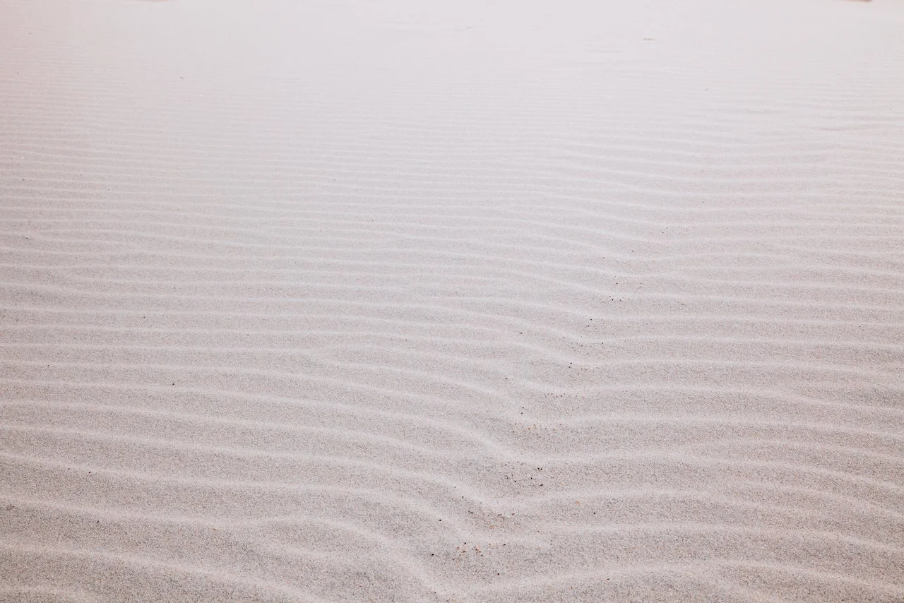 Råbjerg Mile, Denmark (ISO 500, 55 mm,  f /20, 1/640 s)