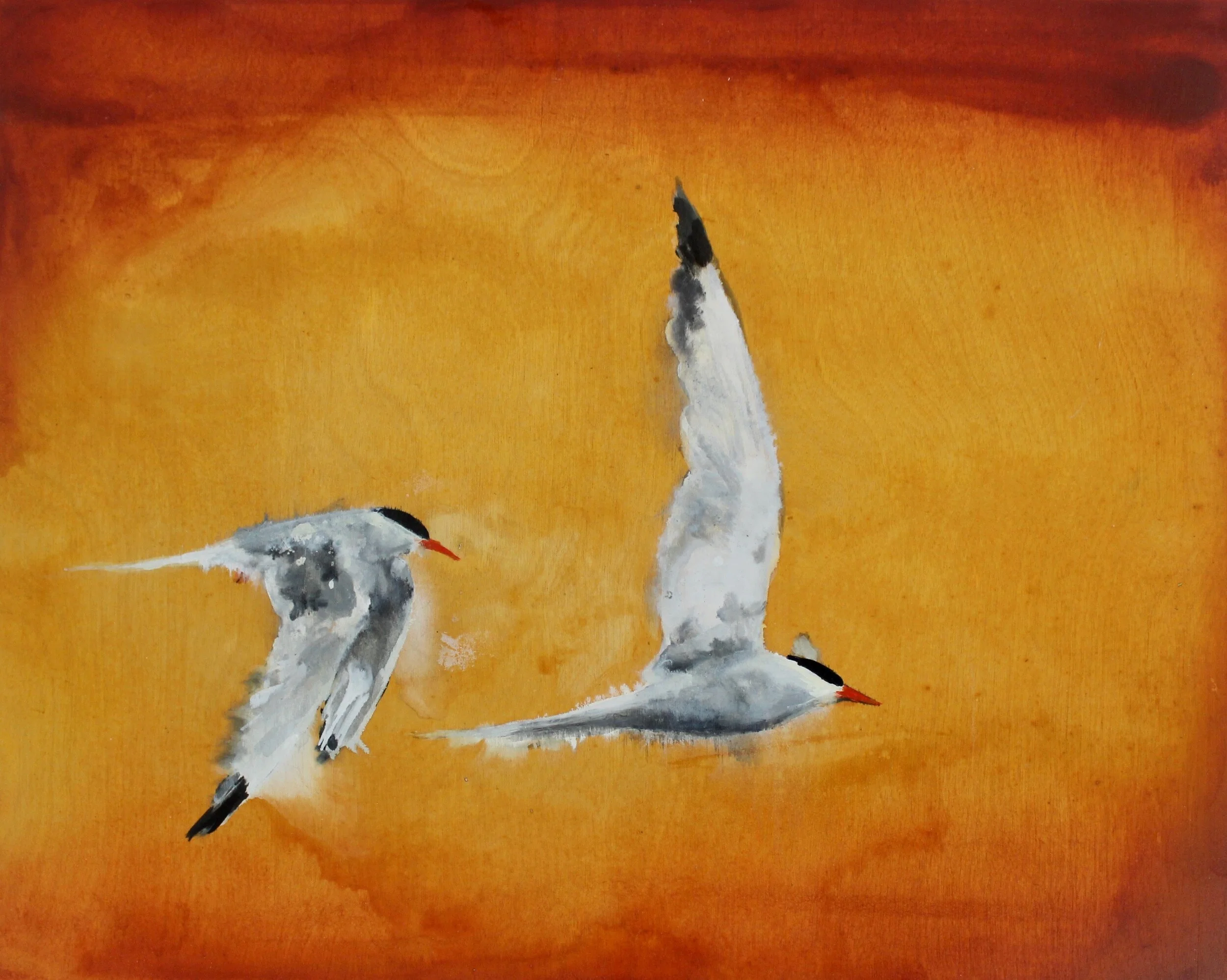 Two terns