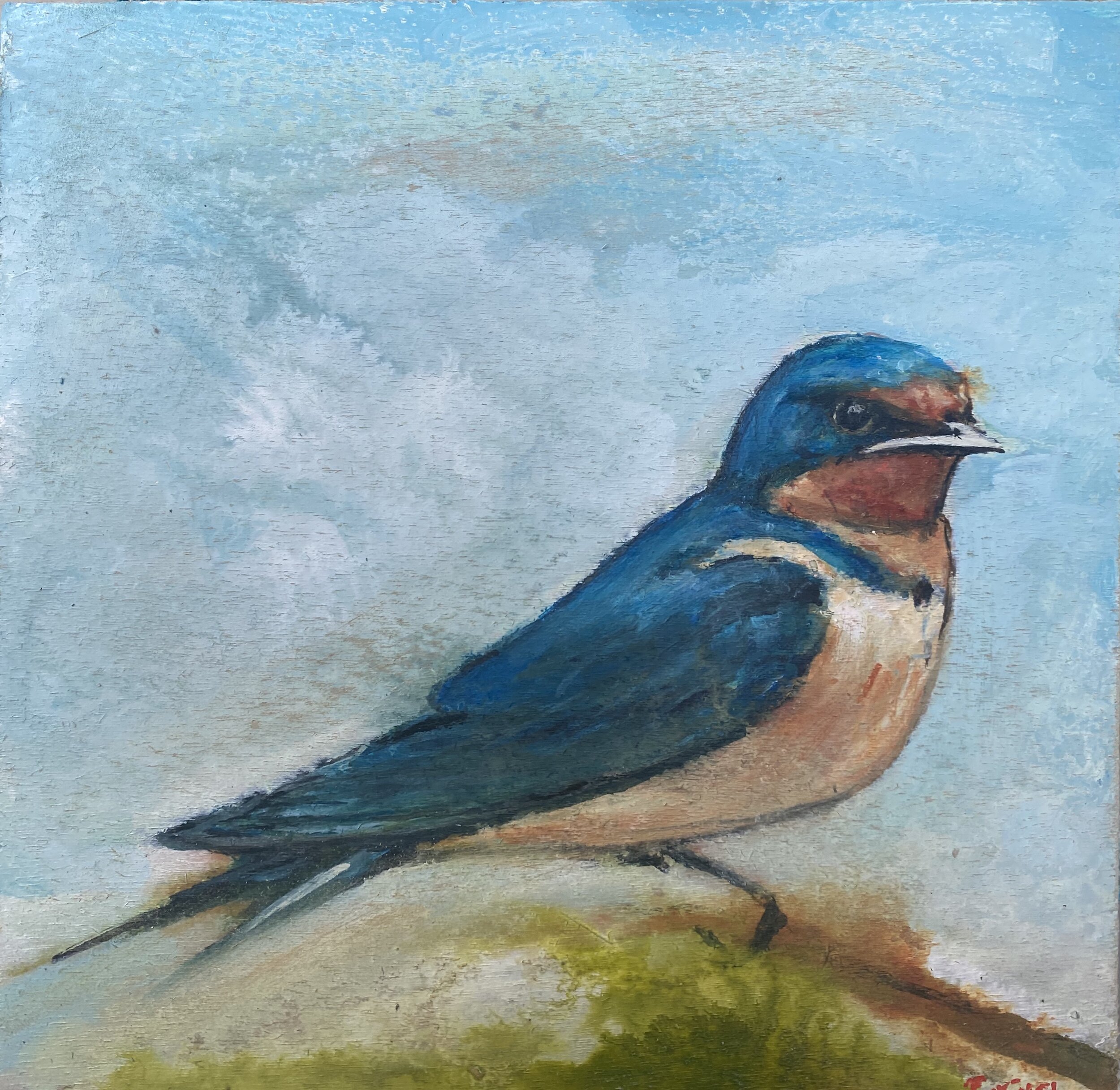 Swallow