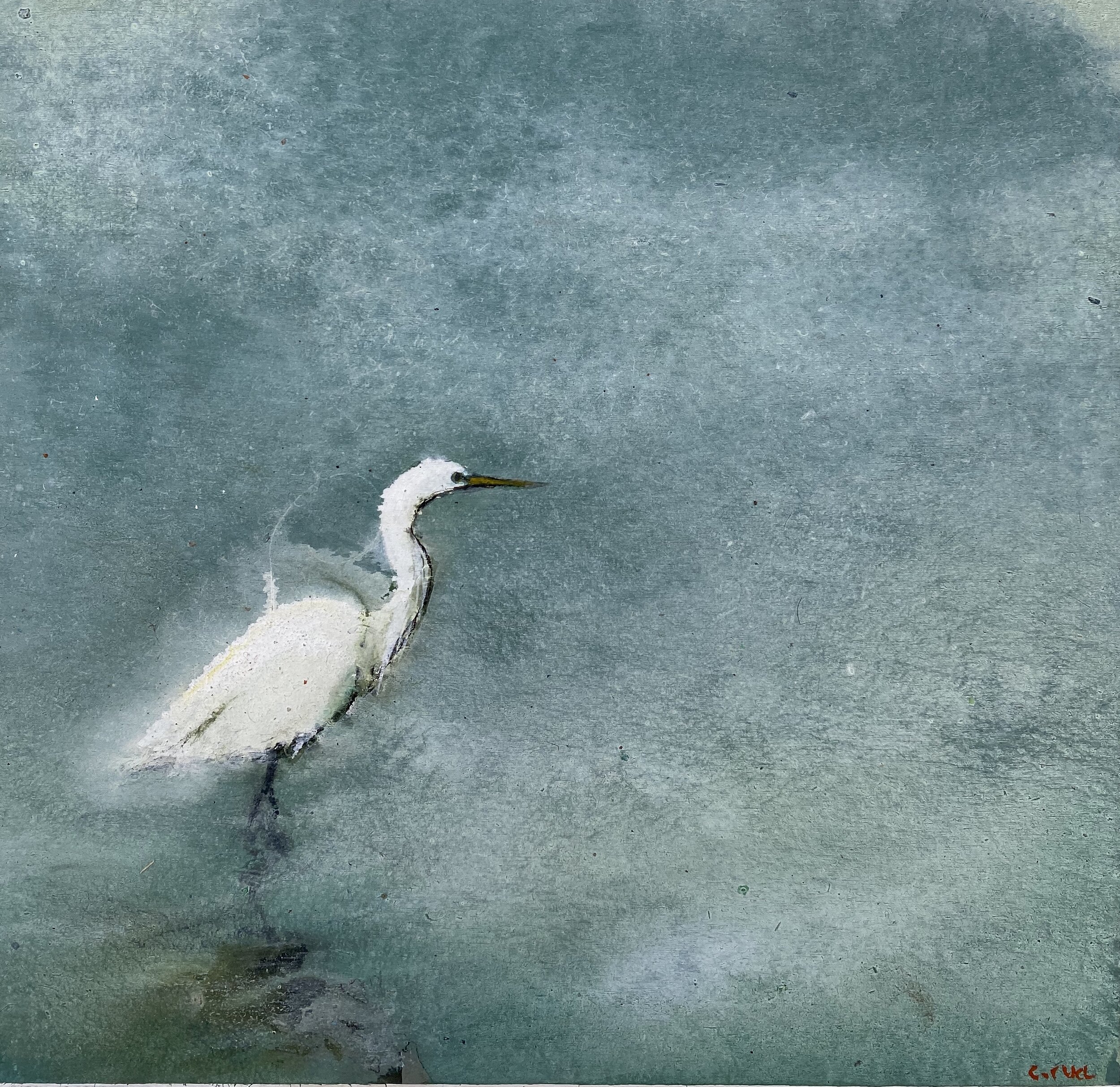 Egret in morning fog