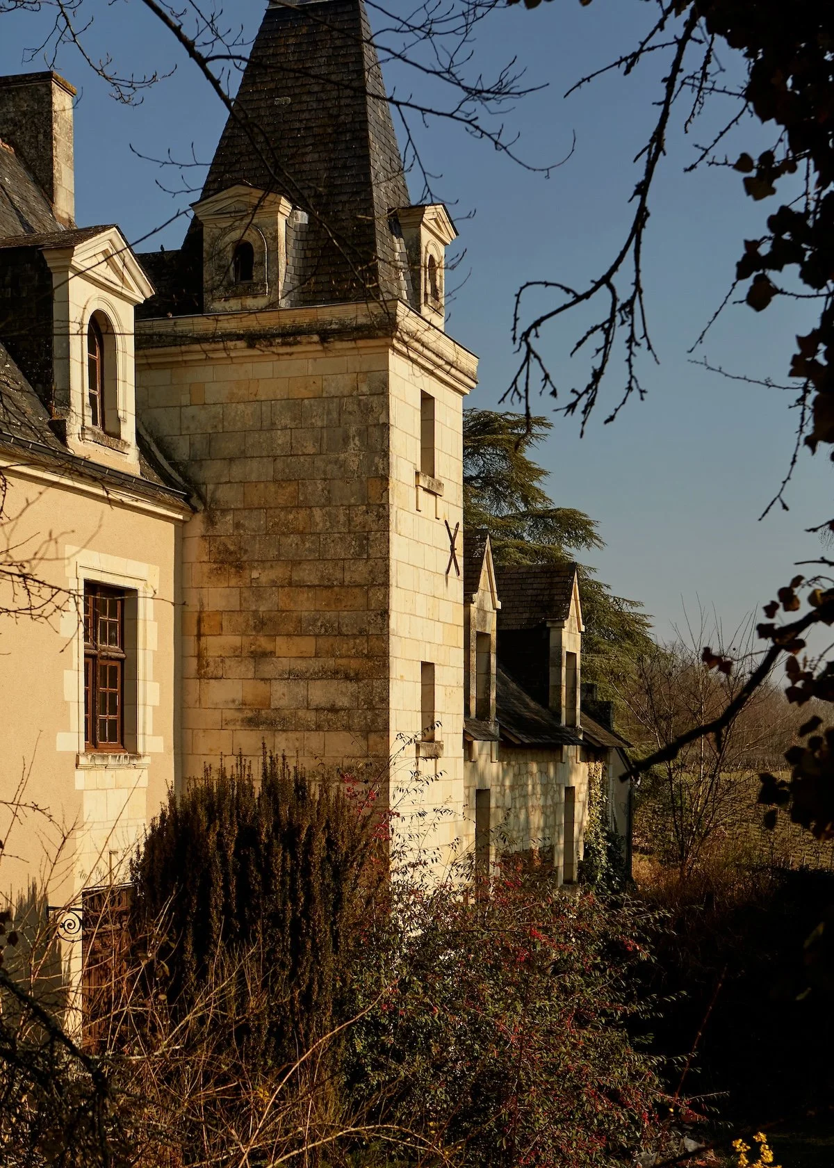 New Arrivals from Les Jardins de la Martinière 