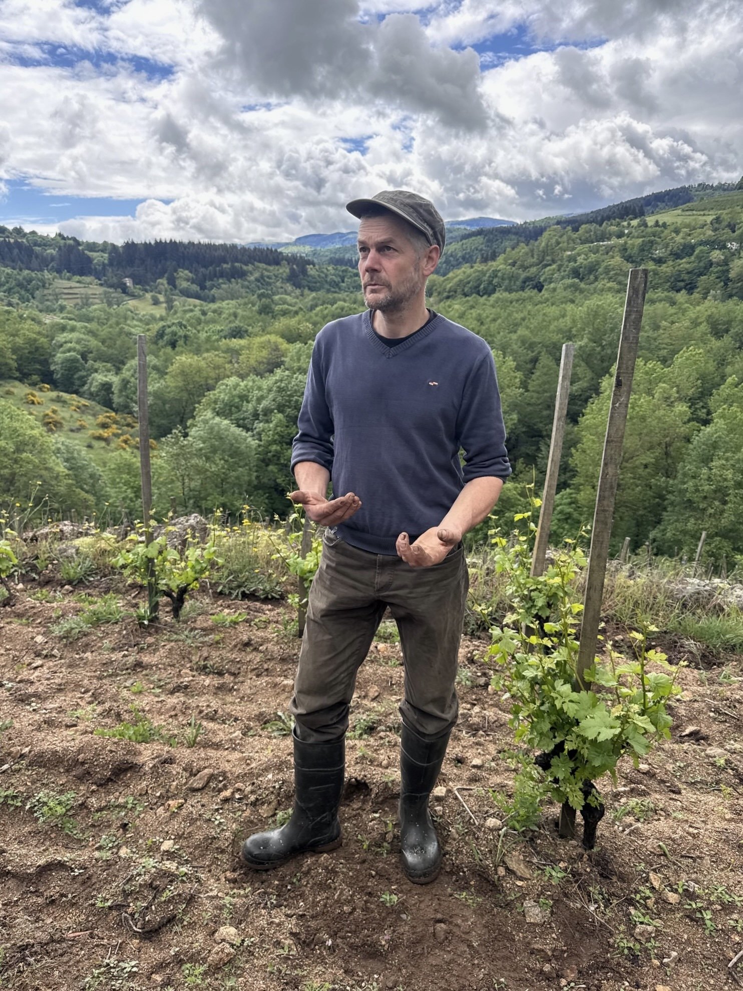 New Arrivals from Pierre Bourlier