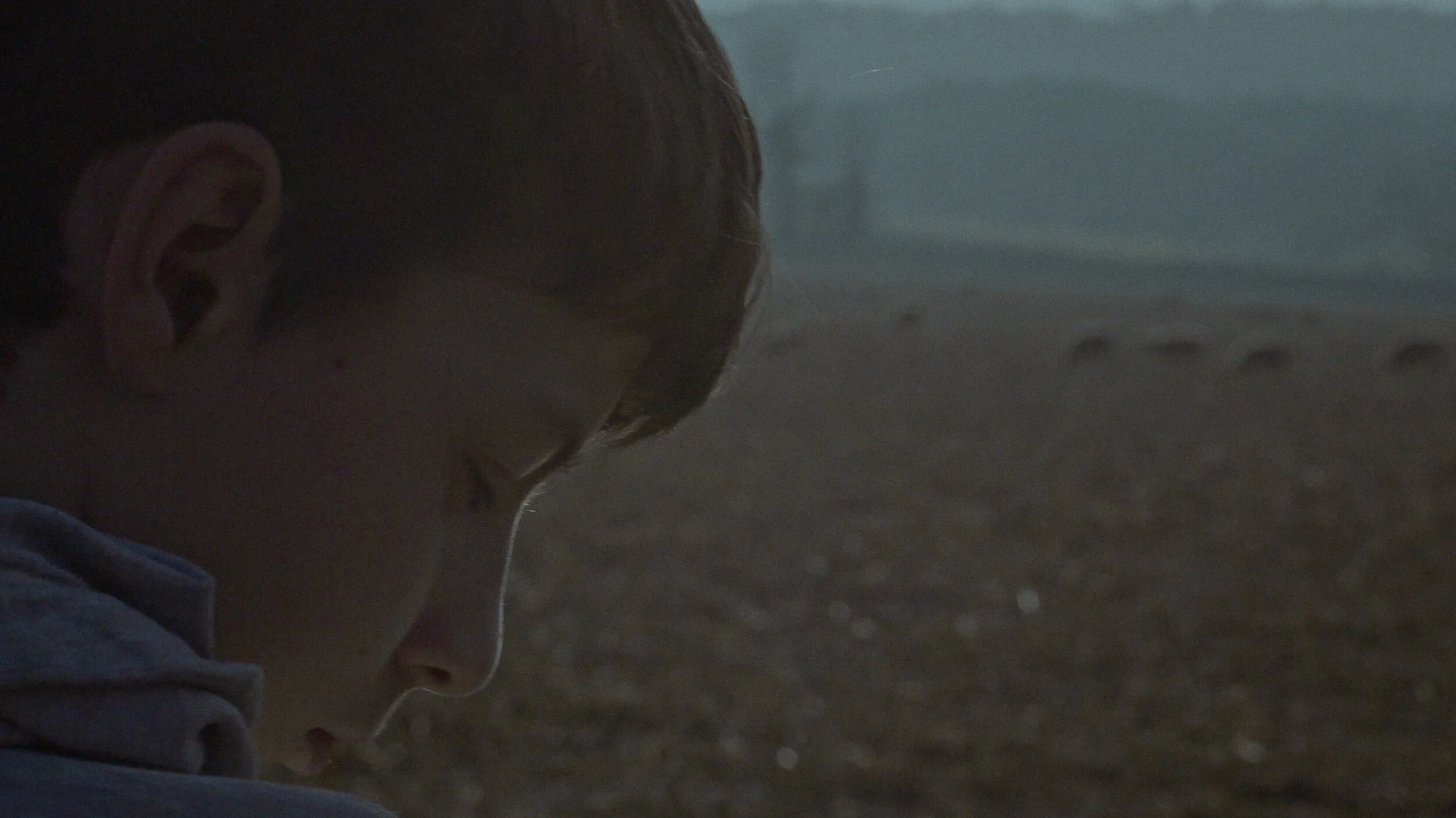 Screenshot 2020-04-04 at 14.02.13.jpg