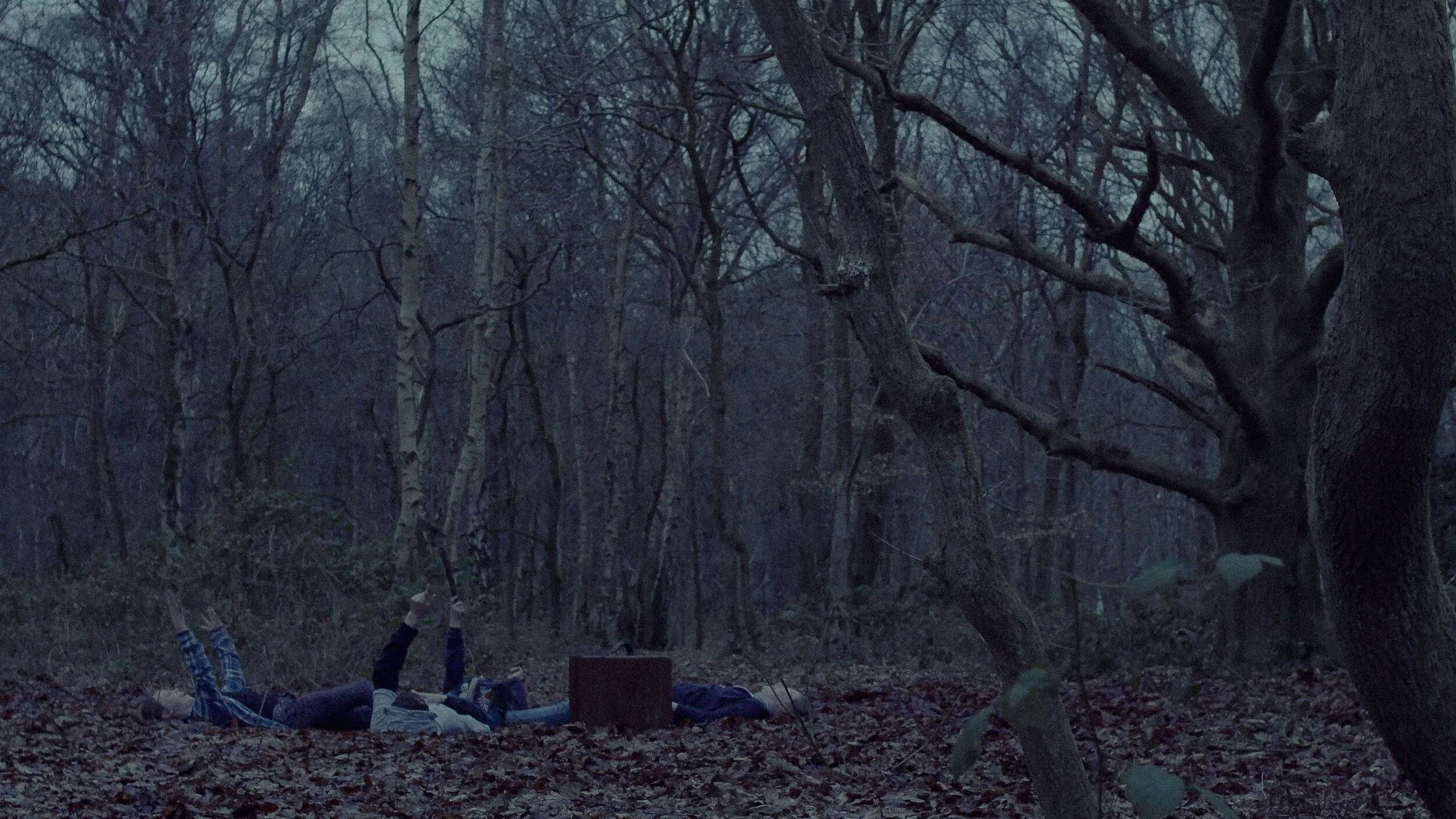 Screenshot 2020-04-04 at 14.03.52.jpg