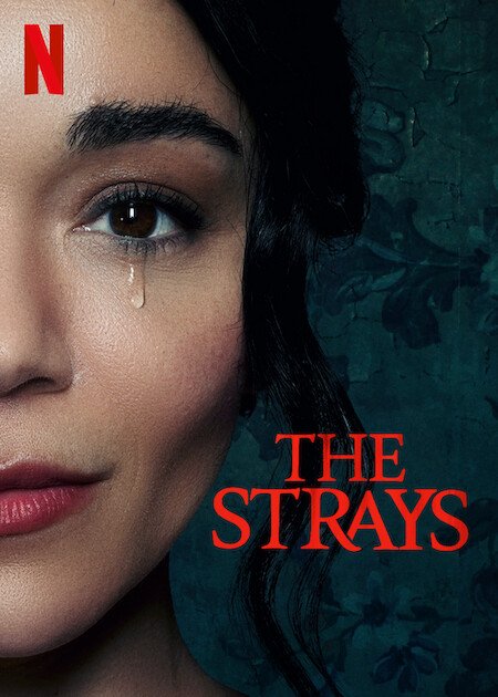 the strays.jpg