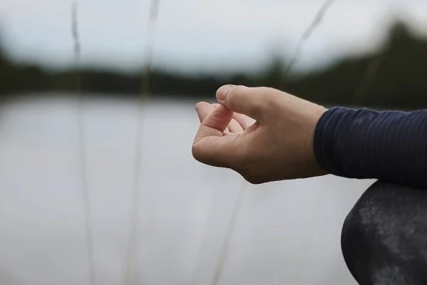 chin mudra.jpg