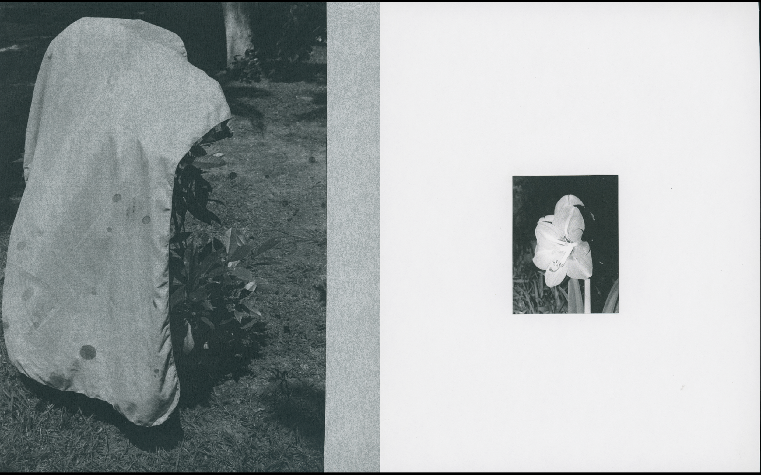 Schermafbeelding 2020-06-09 om 21.58.18.png