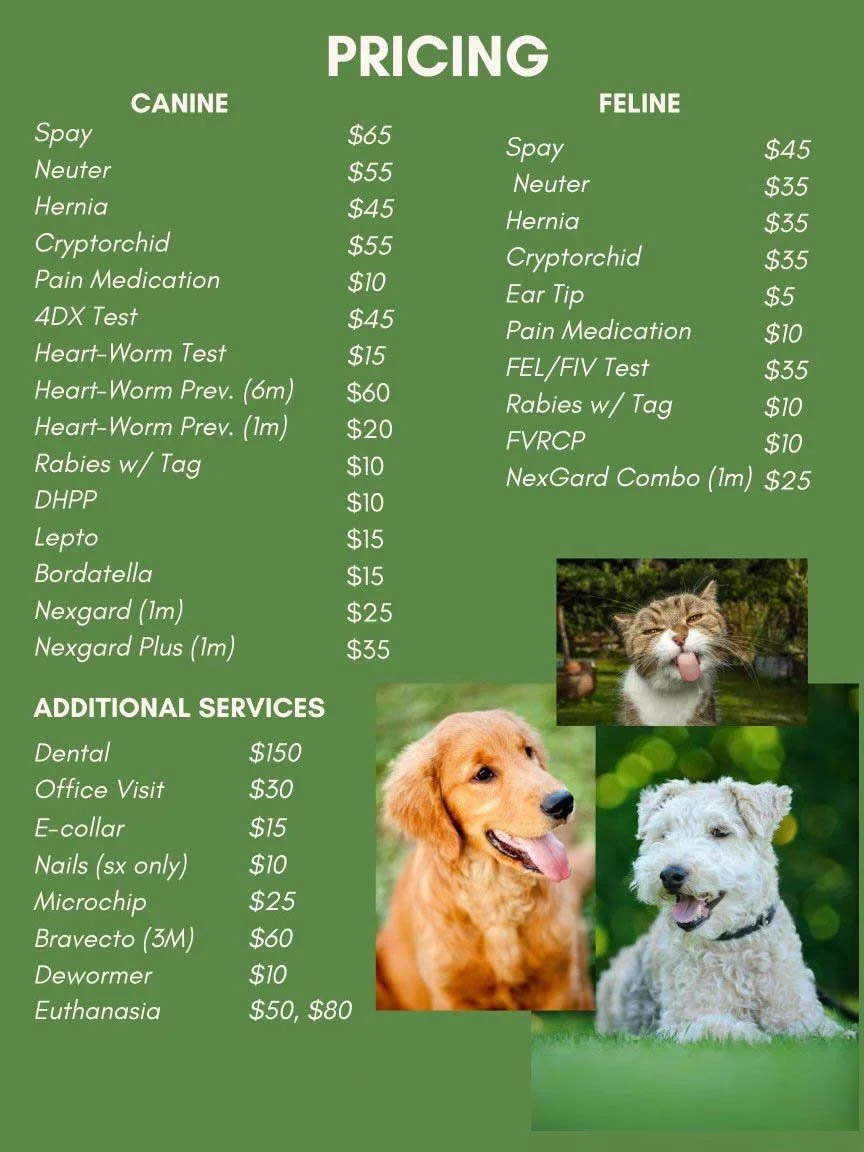 South Suburban Low Cost Veterinary Services Near Me Animal Clinic