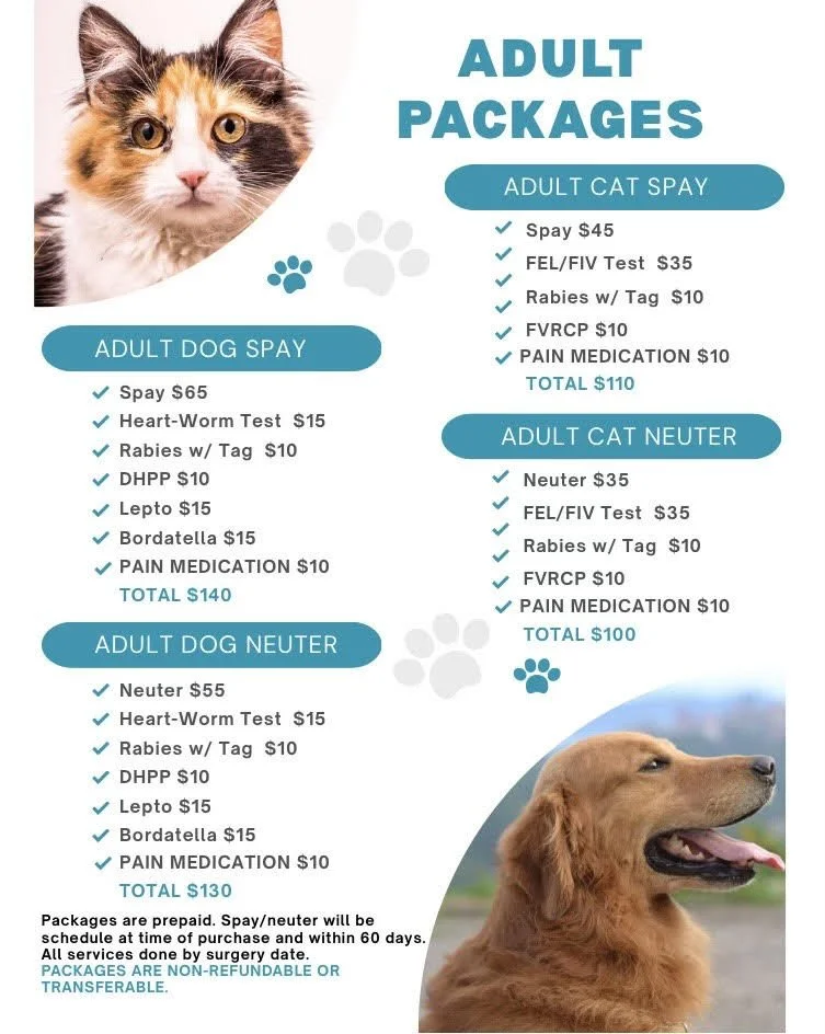 Animal Birth Control Clinic