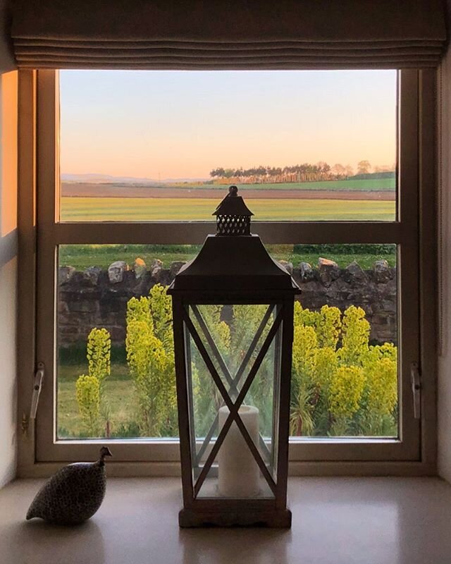 My office view 👌🏻
#roomwithaview 
#countryliving 
#countryside 
#countrysidelife
#workingfromhome