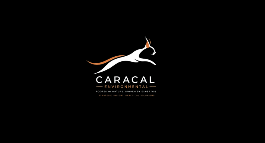 Caracal
