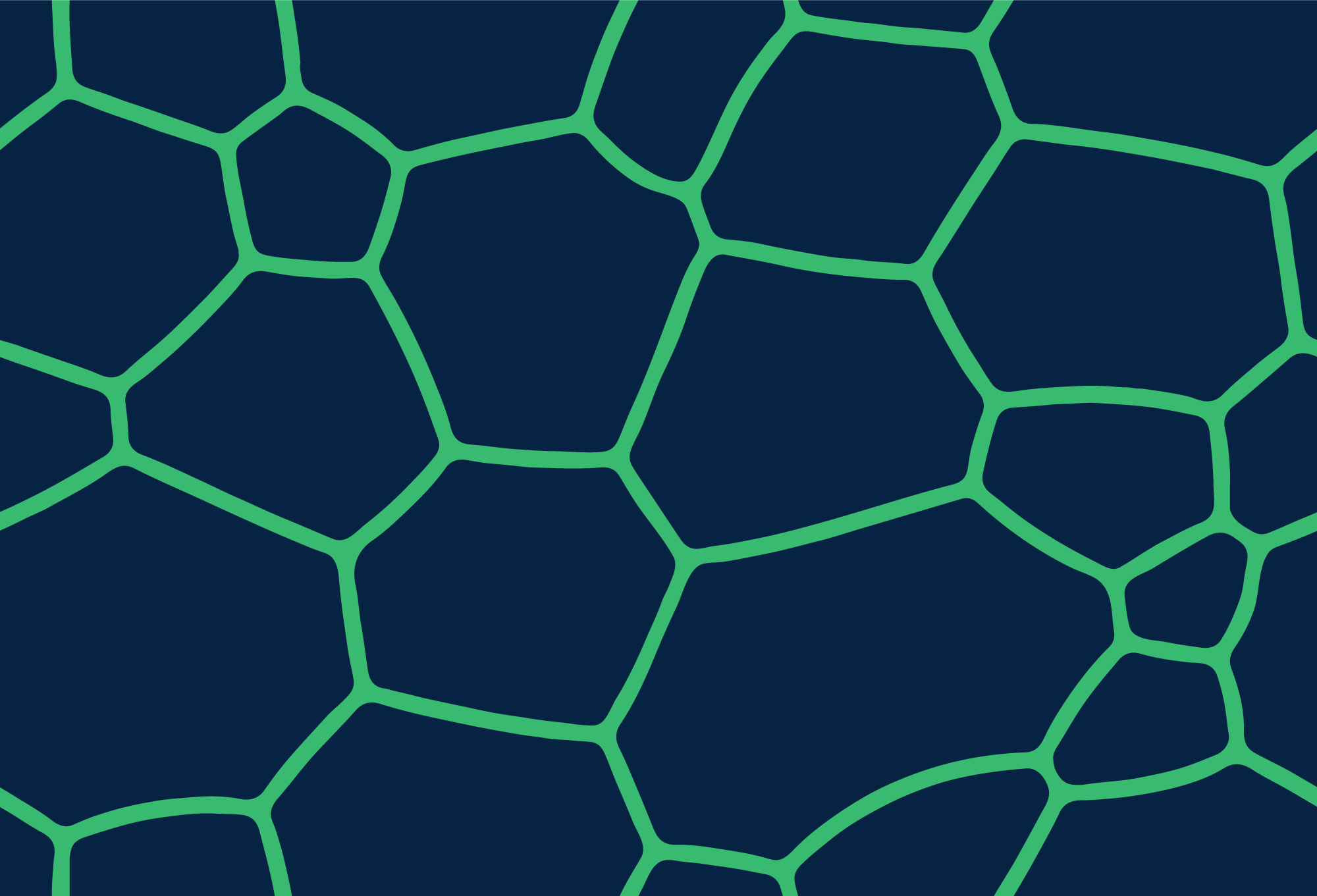 pattern-13.png