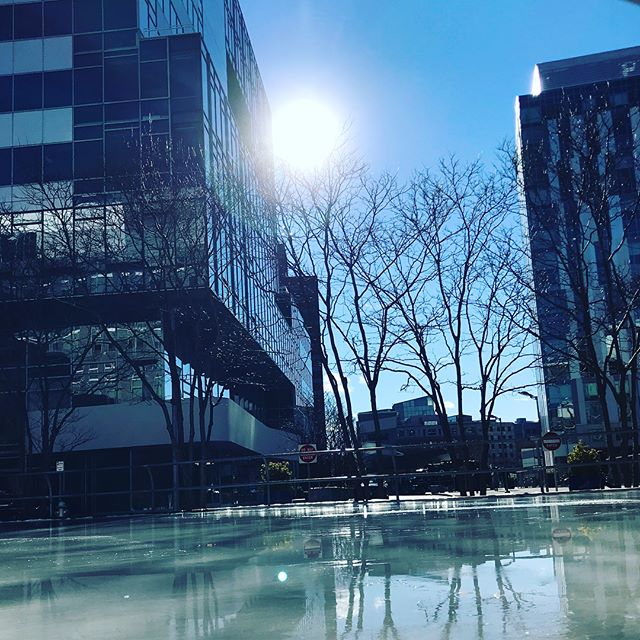 #bluebirdday into night. Open until 8pm Bundle up and come out for a skate tonight! @skatekendall @kendall_square #skatekendall #iceskating #boston #cambridge