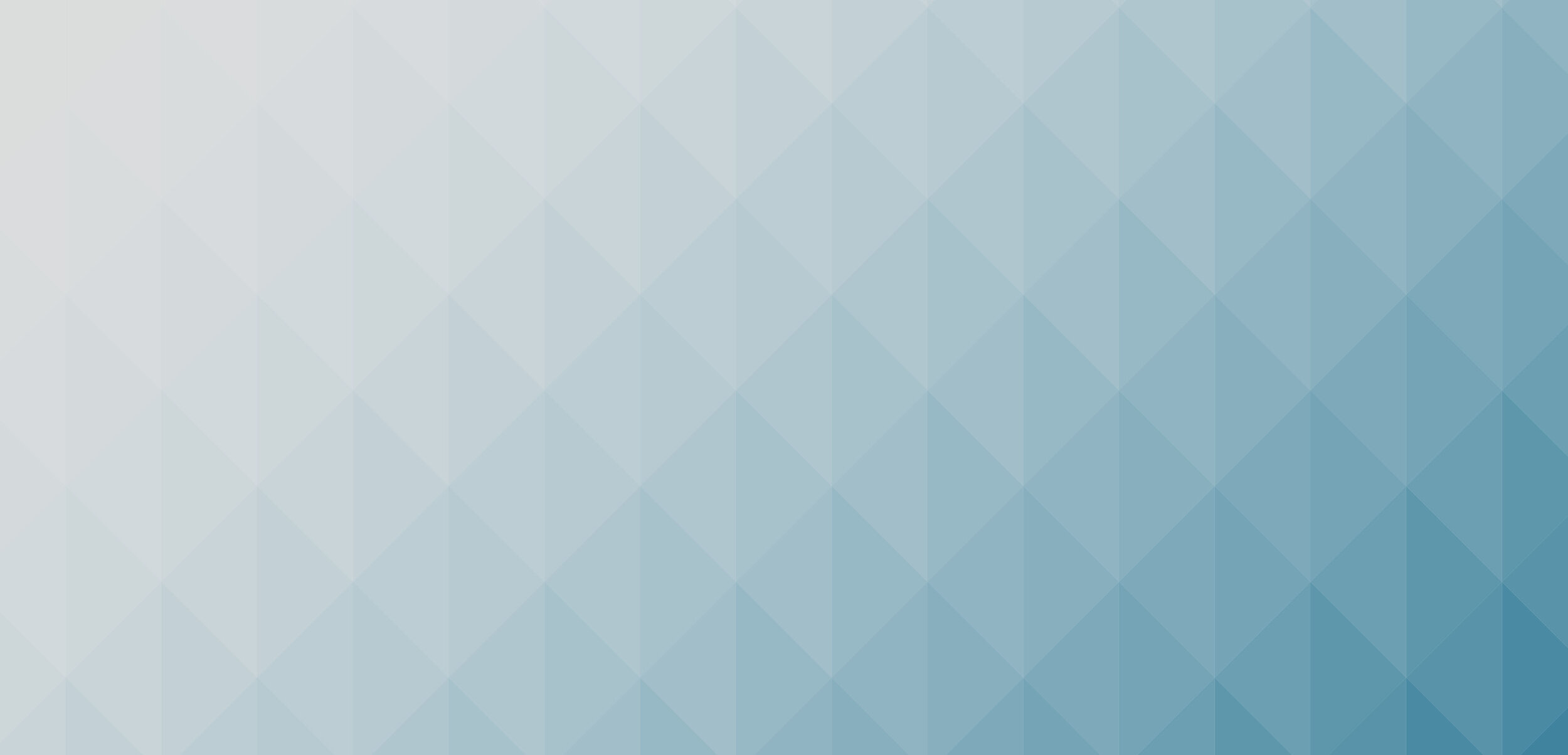 grey texture backdrop.jpg