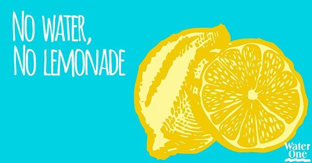 It's time for lemonade. Who is with us? 🍋 🍋