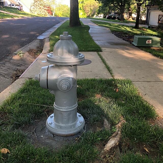 Have you noticed some fire hydrants in your neighborhood have turned grey? Not to worry! We're priming some for a fresh coat of yellow and black as part of our annual summer maintenance of over 18,000 hydrants in our service area.