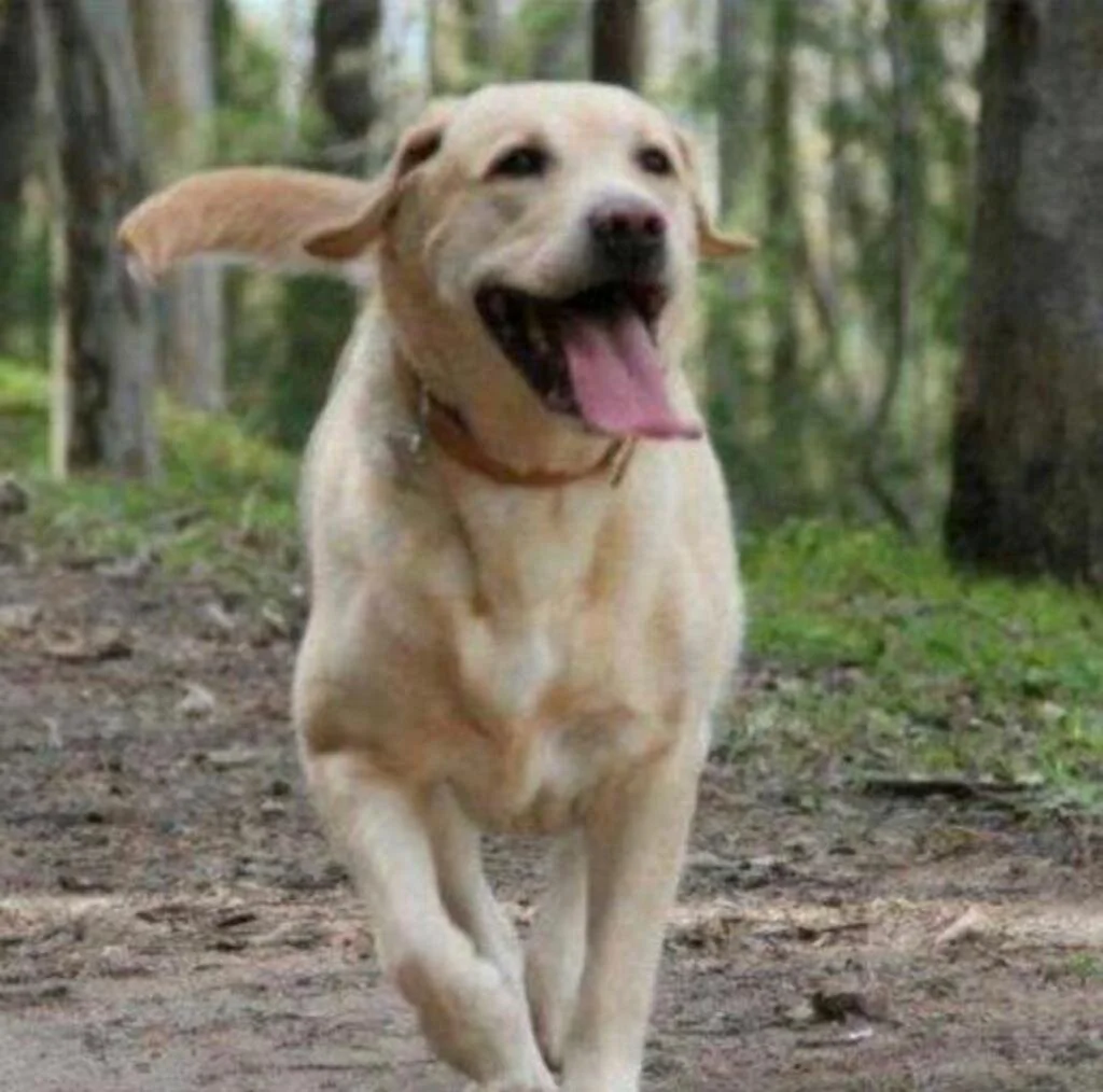 WhatsApp Image 2020-01-18 at 4.21.01 PM.jpeg