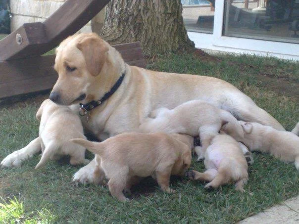 WhatsApp Image 2020-01-18 at 4.20.43 PM.jpeg