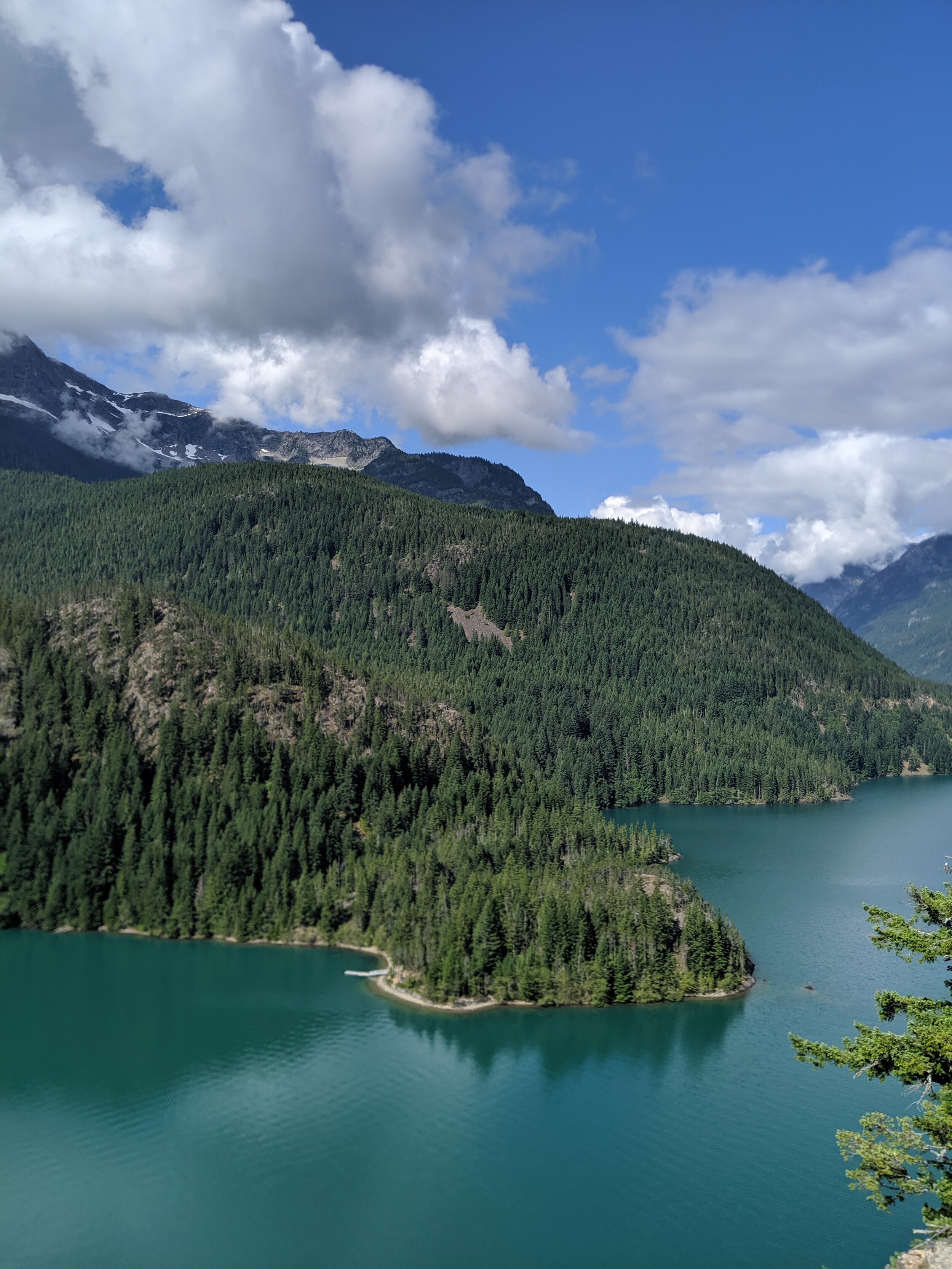 IMG_20190716_095149.jpg