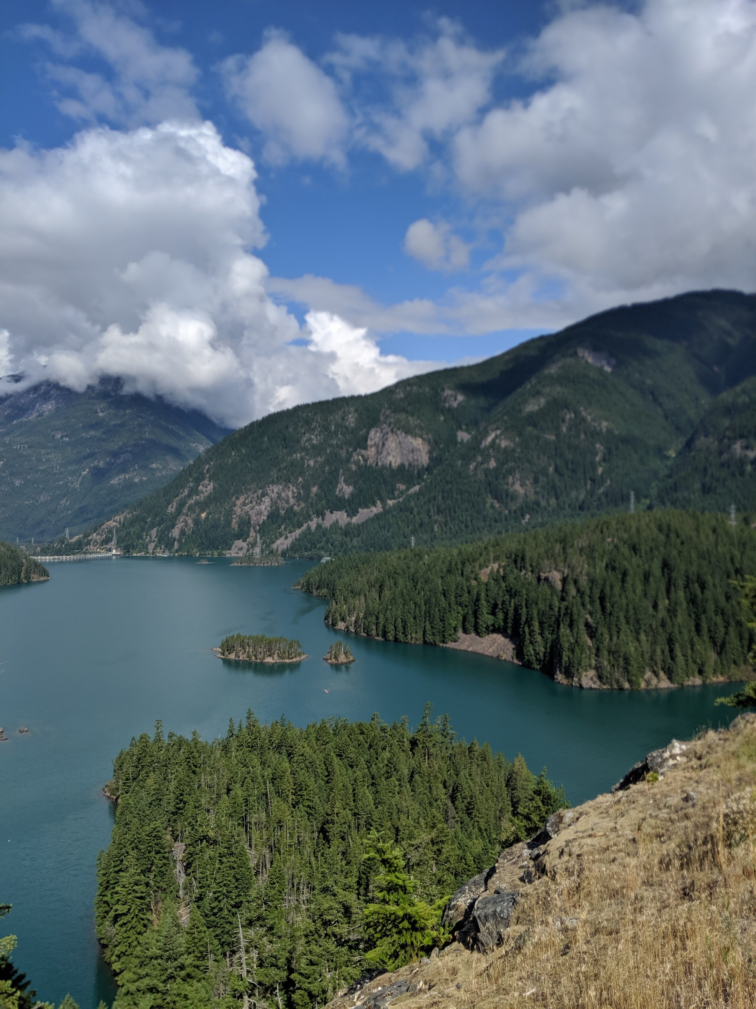 IMG_20190716_095156.jpg