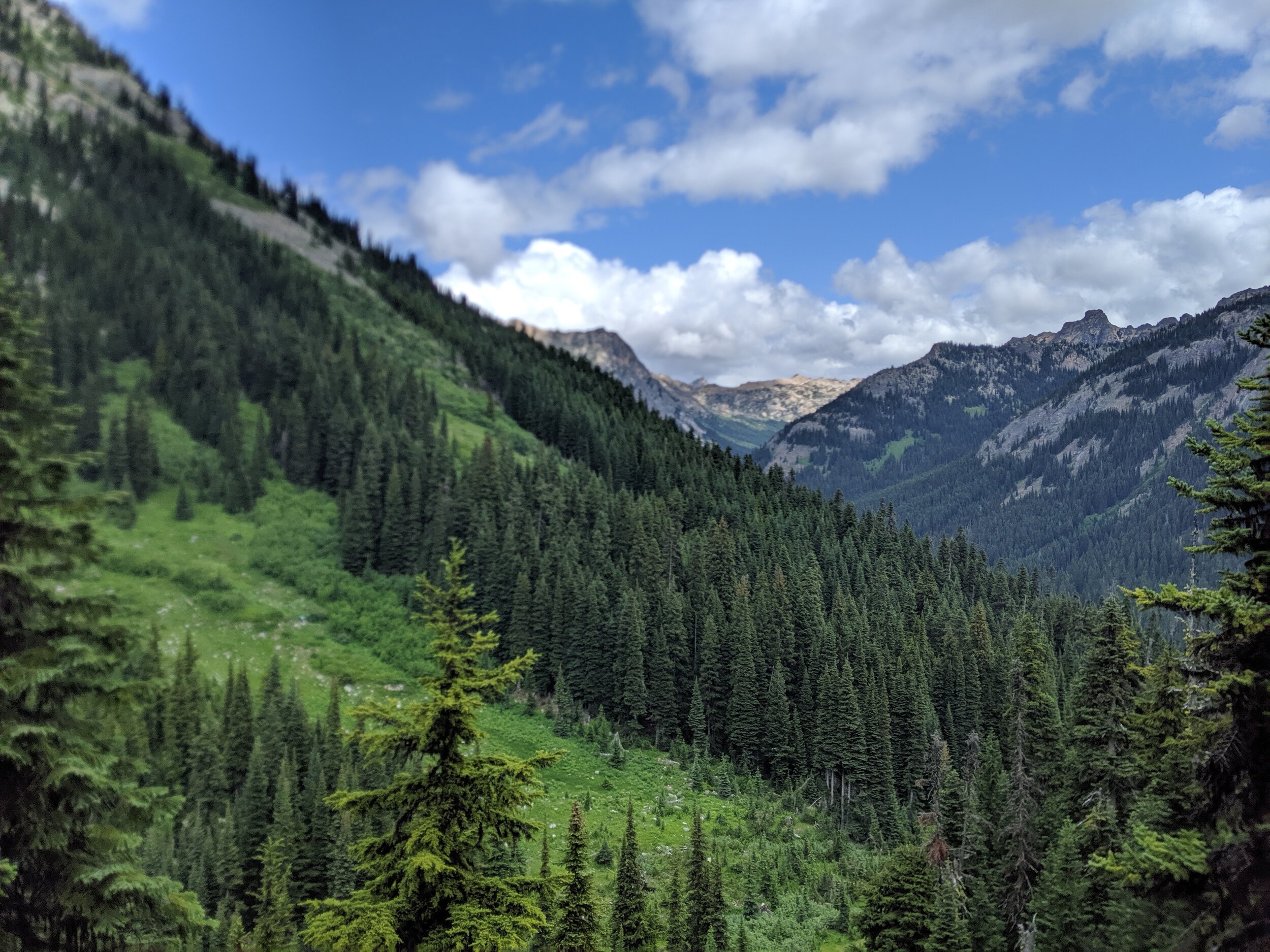 IMG_20190716_113727.jpg